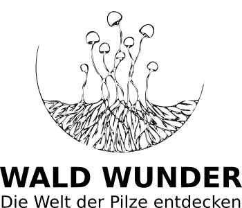 Neu_2021